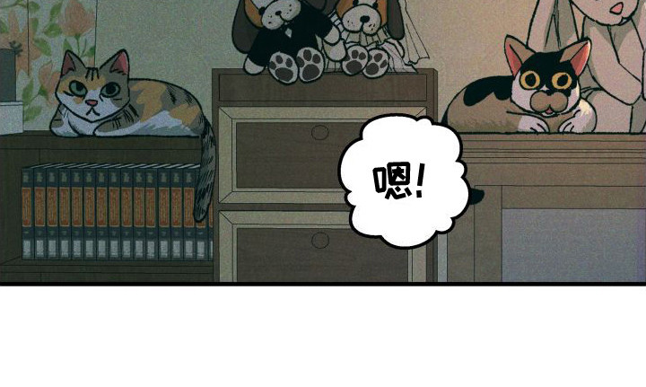 第11章：咖喱20