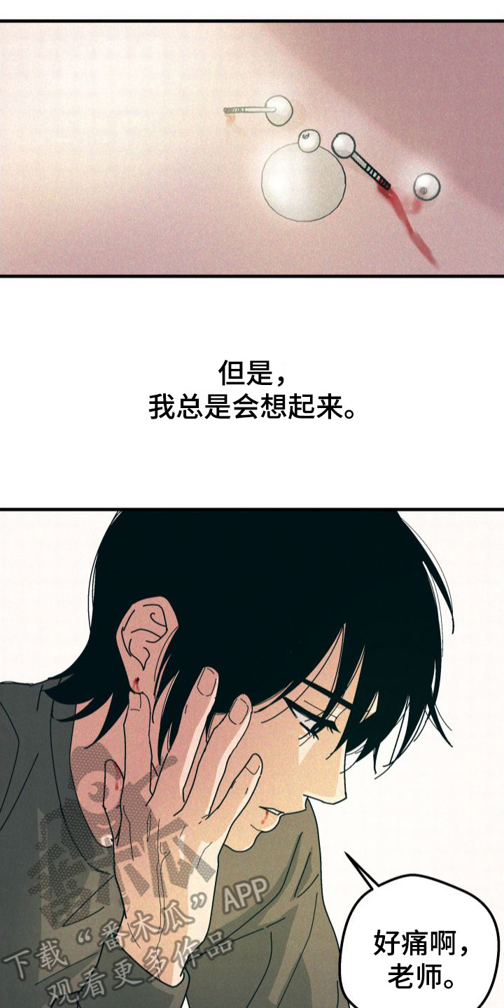 第32章：【番外2】痛楚15