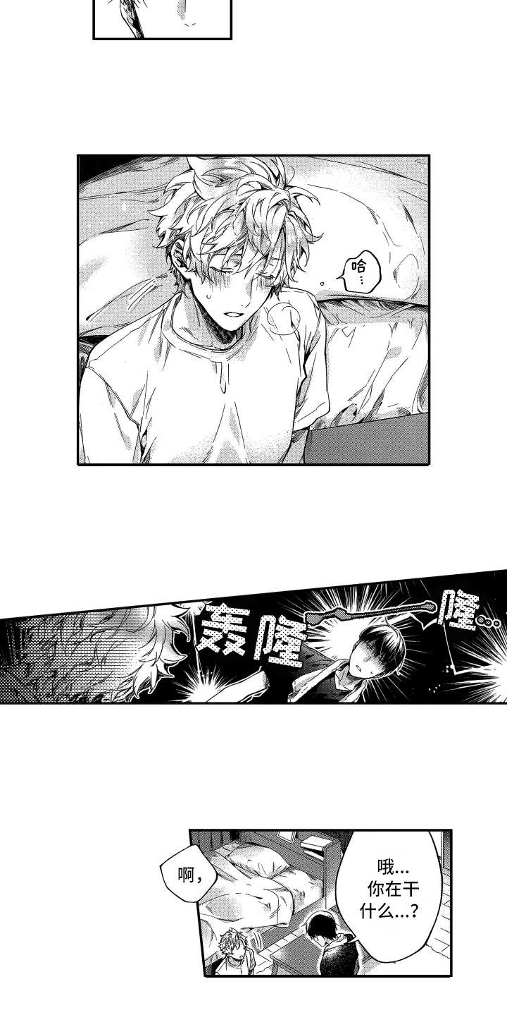 第4章：奇葩5