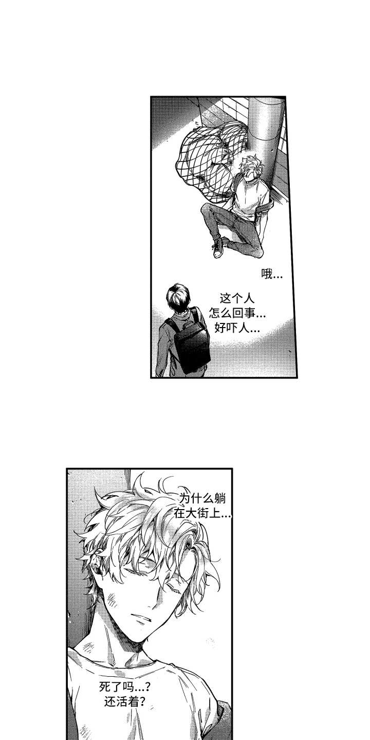 第1章：很酷8