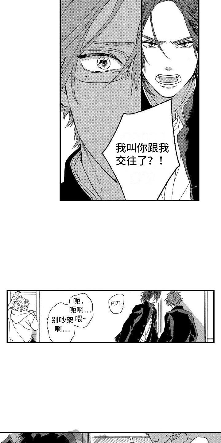 第4章：表白10