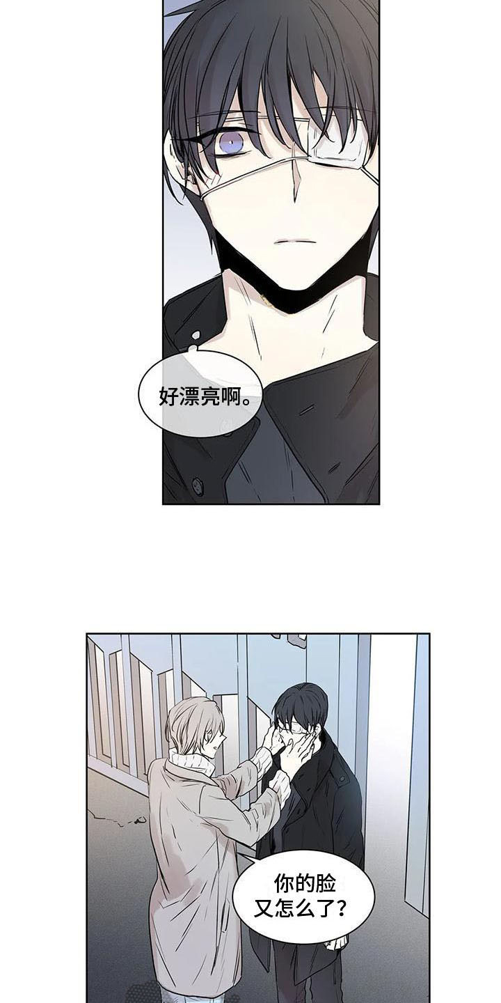 第13章：摊牌12