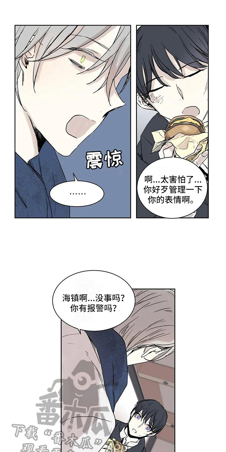 第6章：照片11