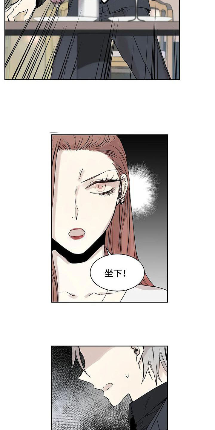第13章：摊牌3