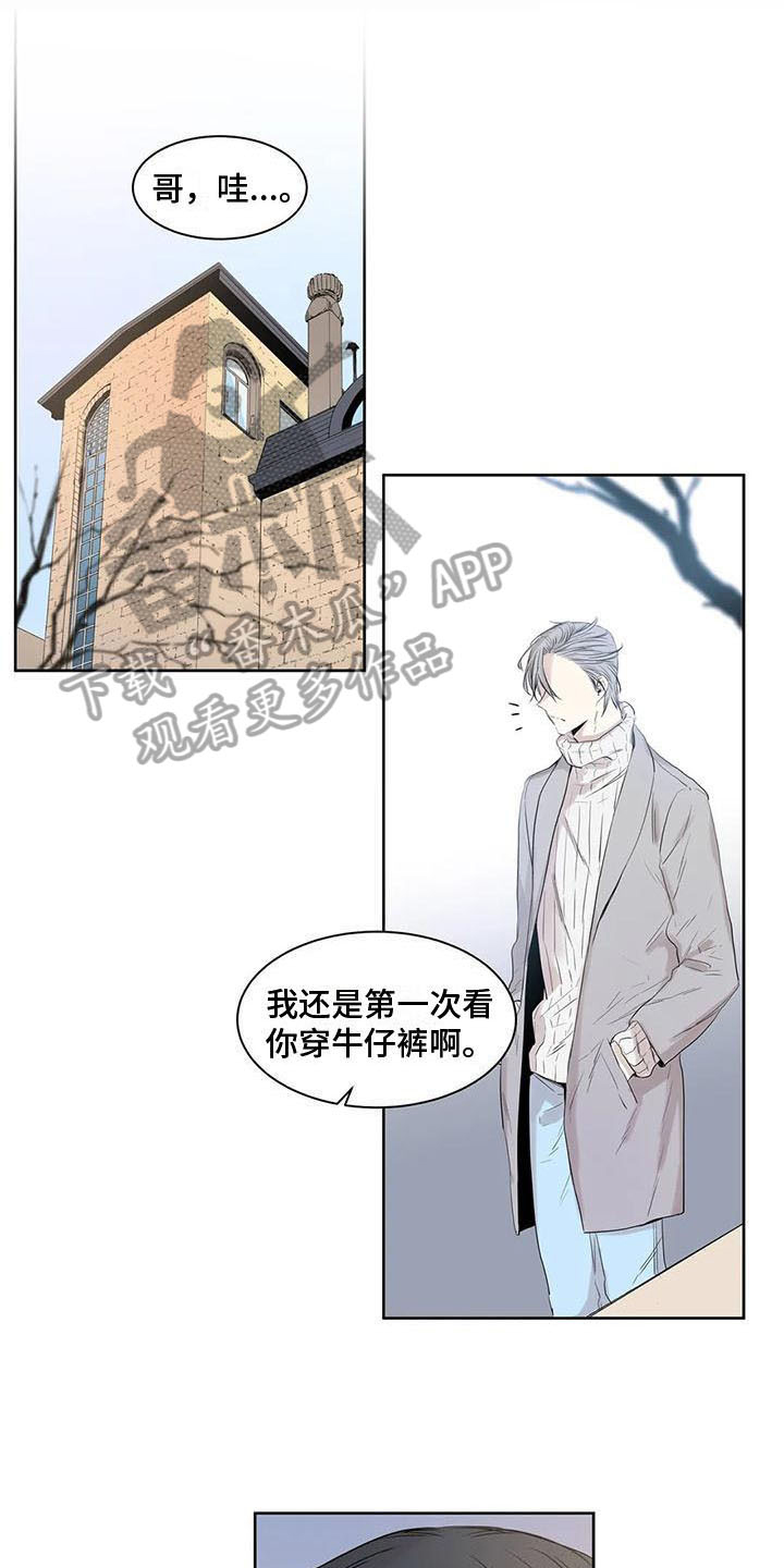 第13章：摊牌11