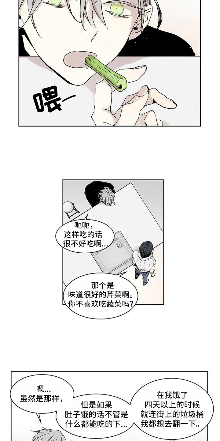 第3章：做饭8