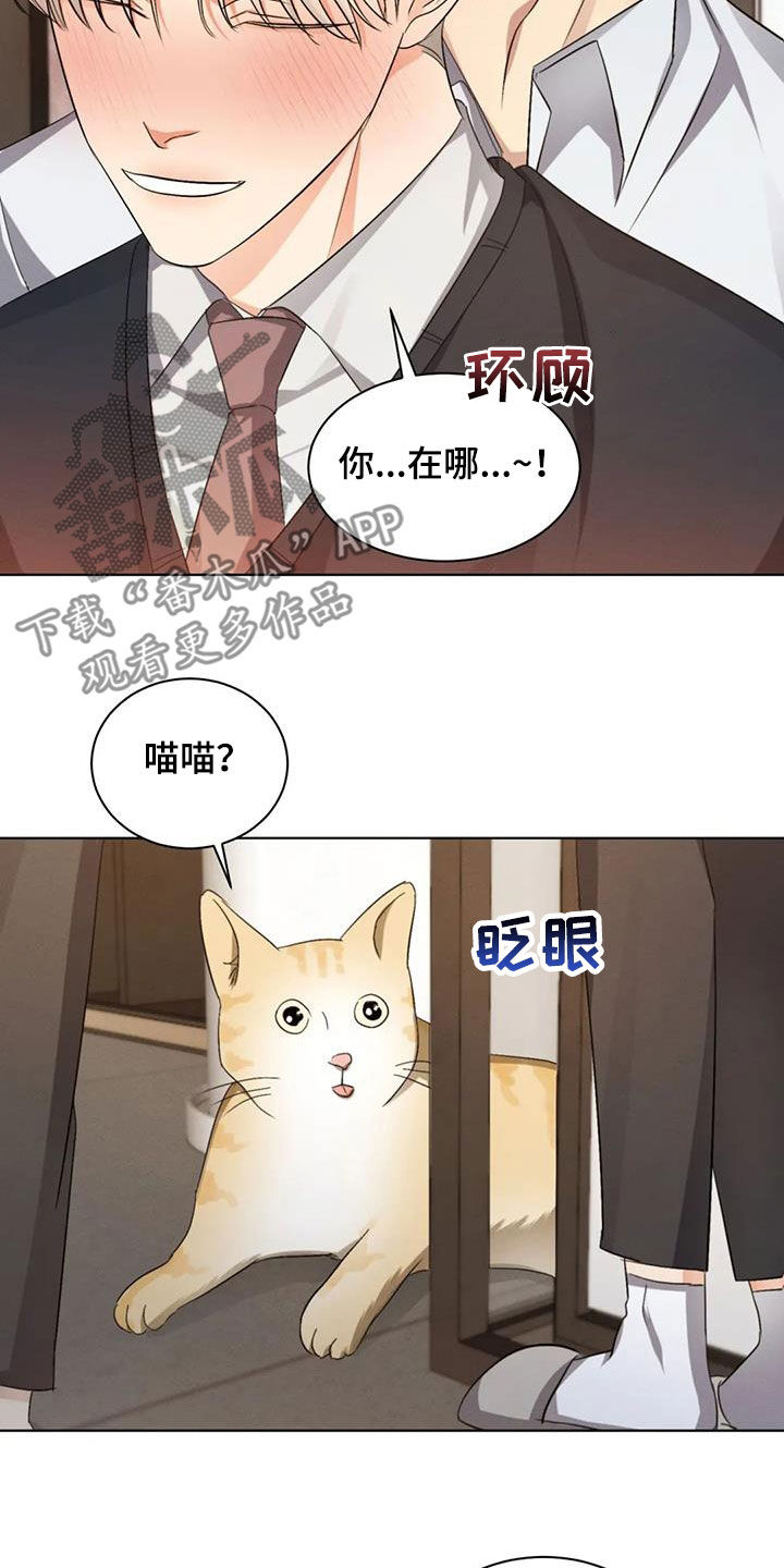 第69章：【第二季】恋爱脑17