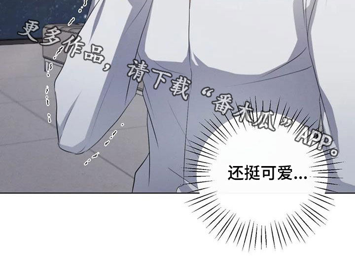 第69章：【第二季】恋爱脑19