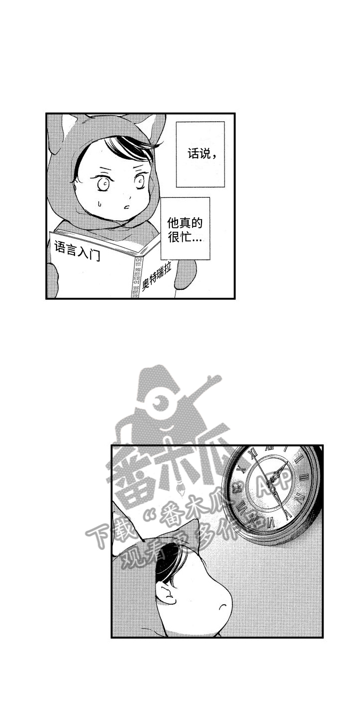 第12章：担心5