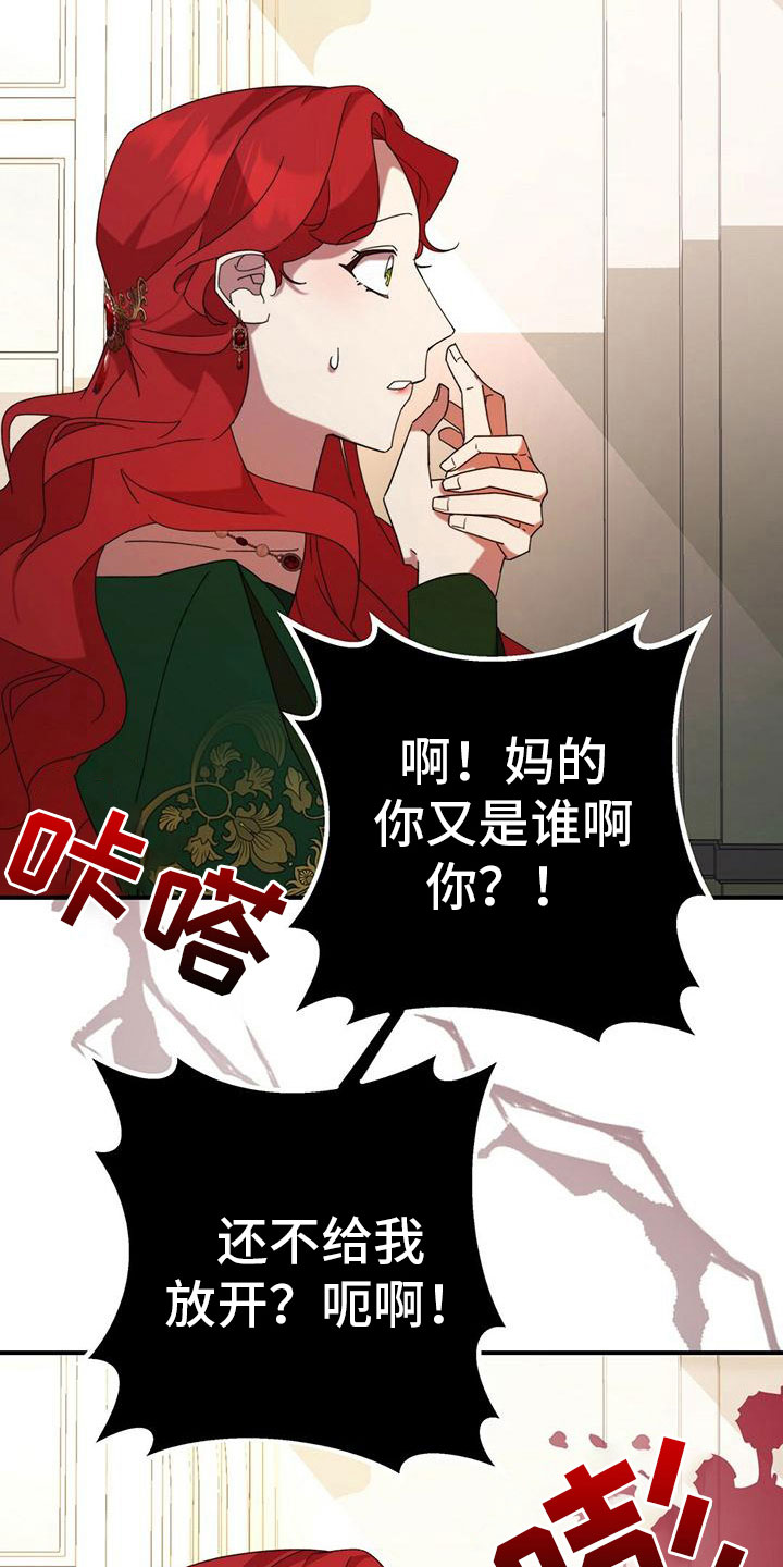 第17章：胡搅蛮缠16