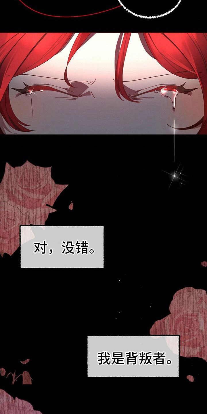 第2章：好奇11