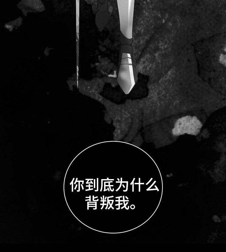 第2章：好奇18