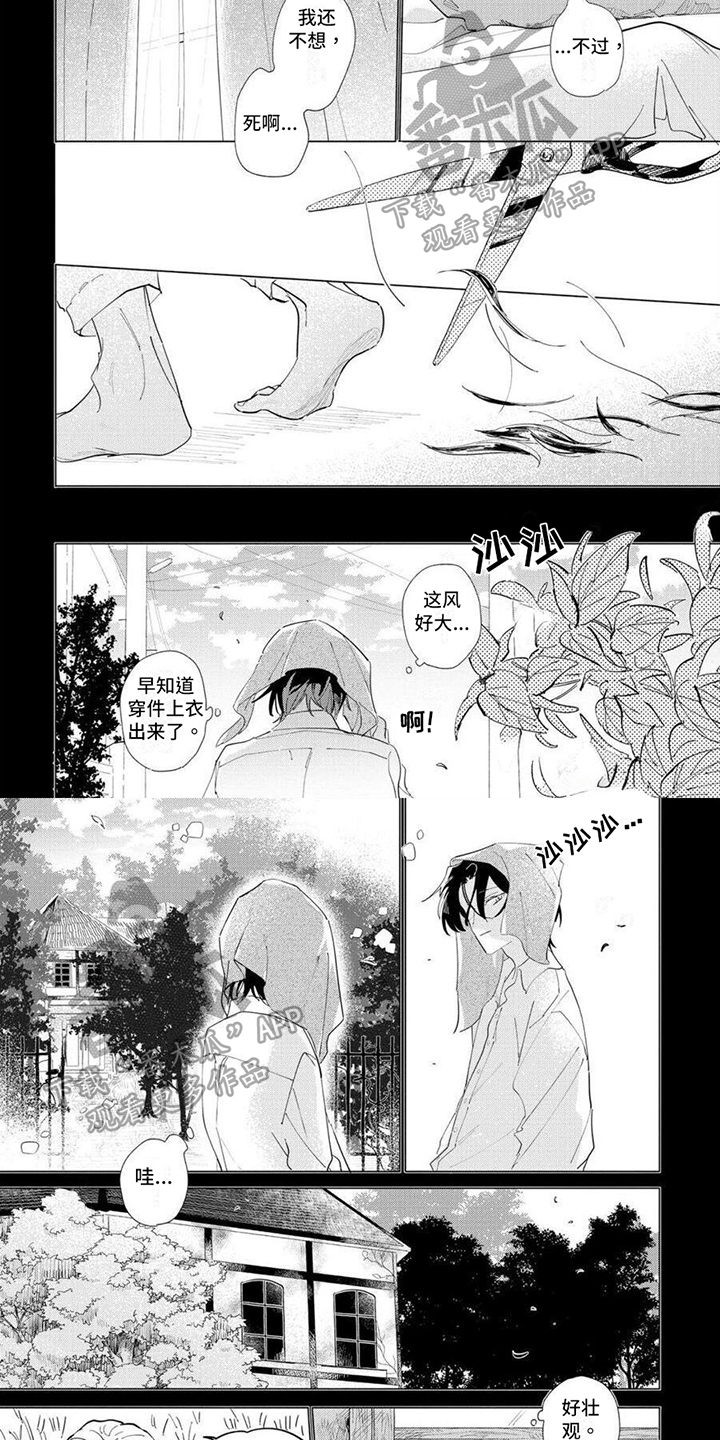 第19章：散心3