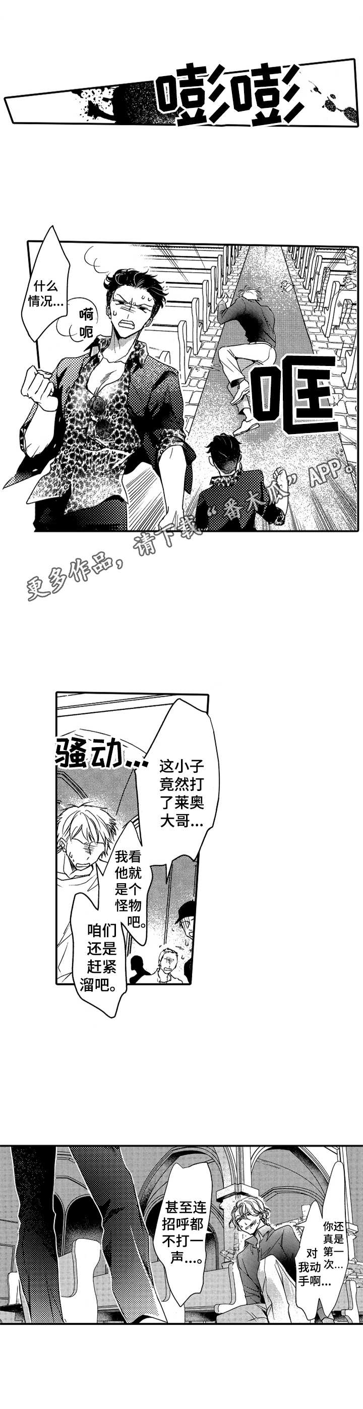 第14章：动手10
