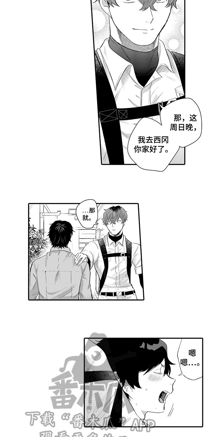 第10章：约定8
