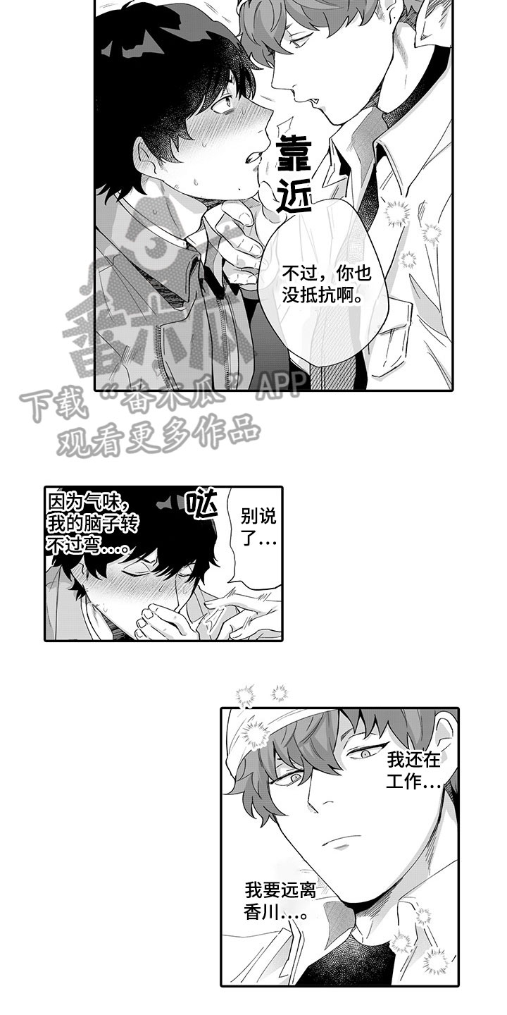 第4章：纠缠不休2