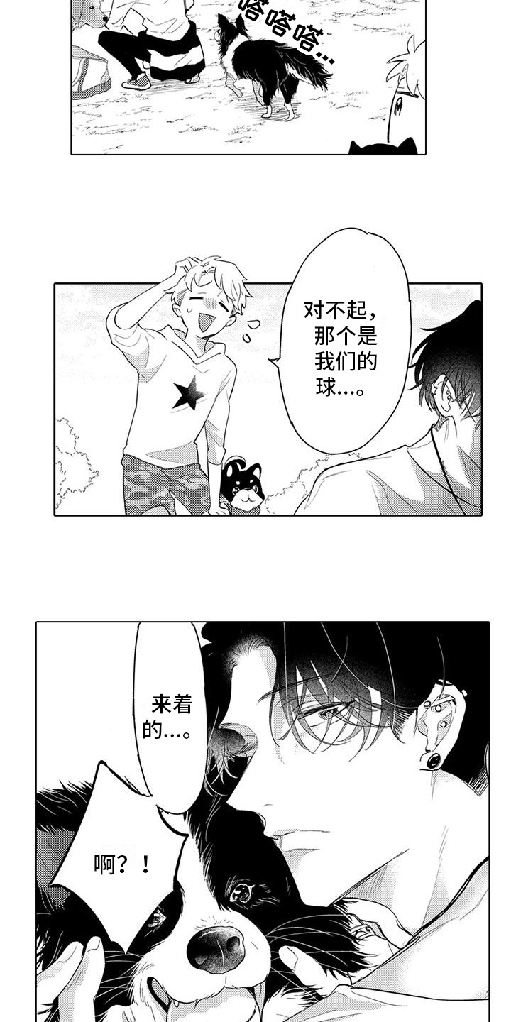 第7章：遛狗10
