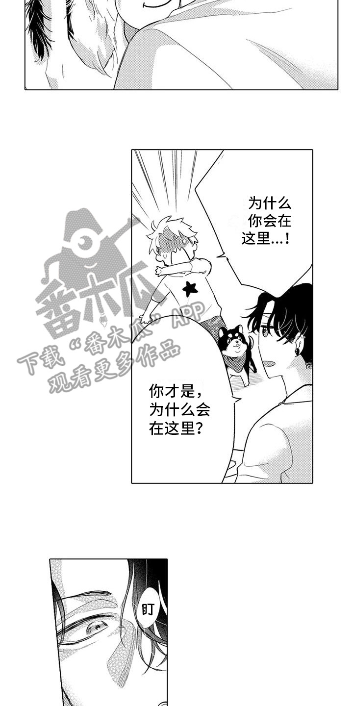 第7章：遛狗11