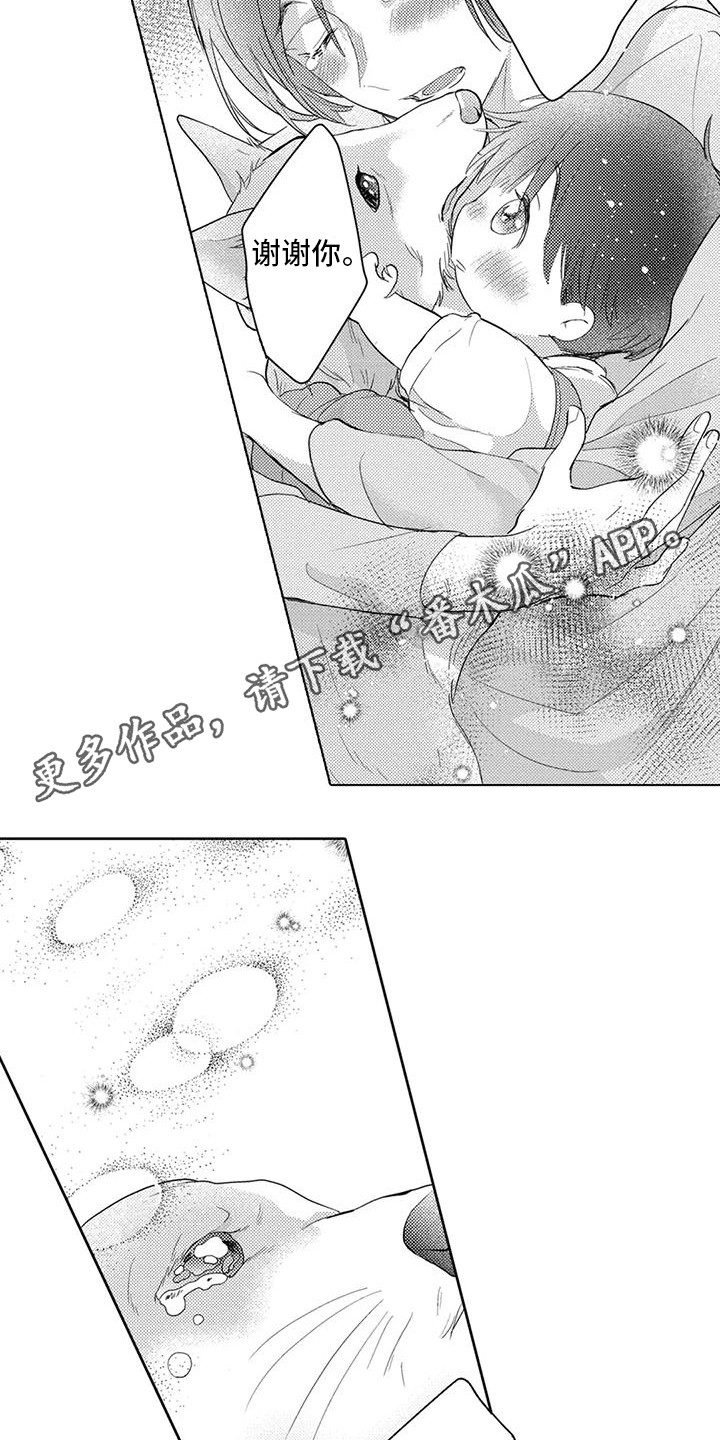 第10章：和好7