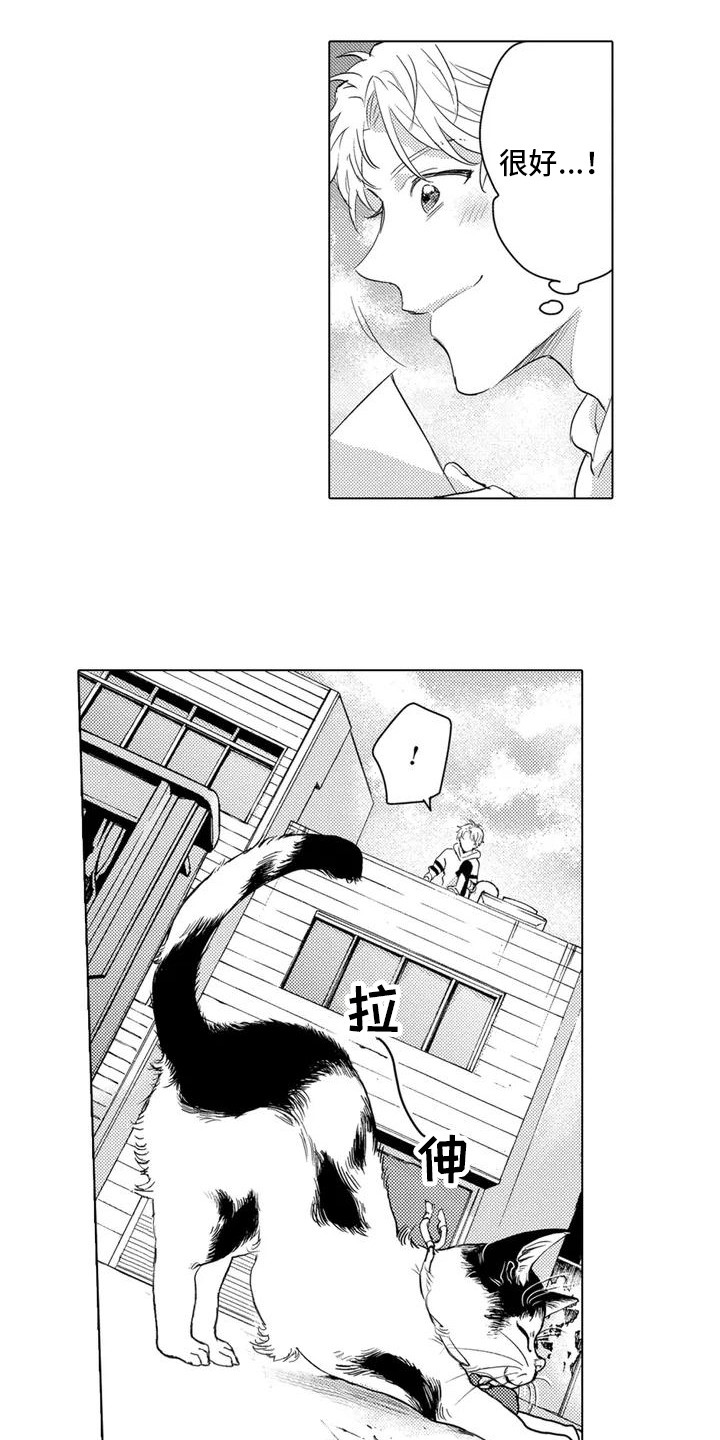 第2章： 寻找猫咪5