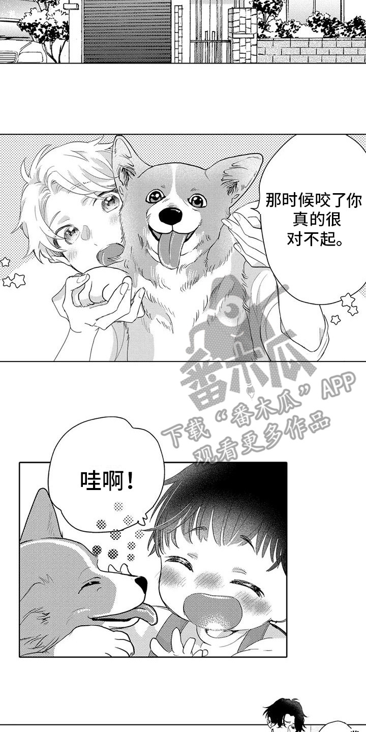 第10章：和好9