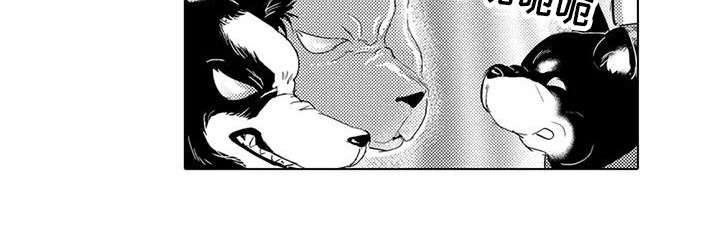 第7章：遛狗14