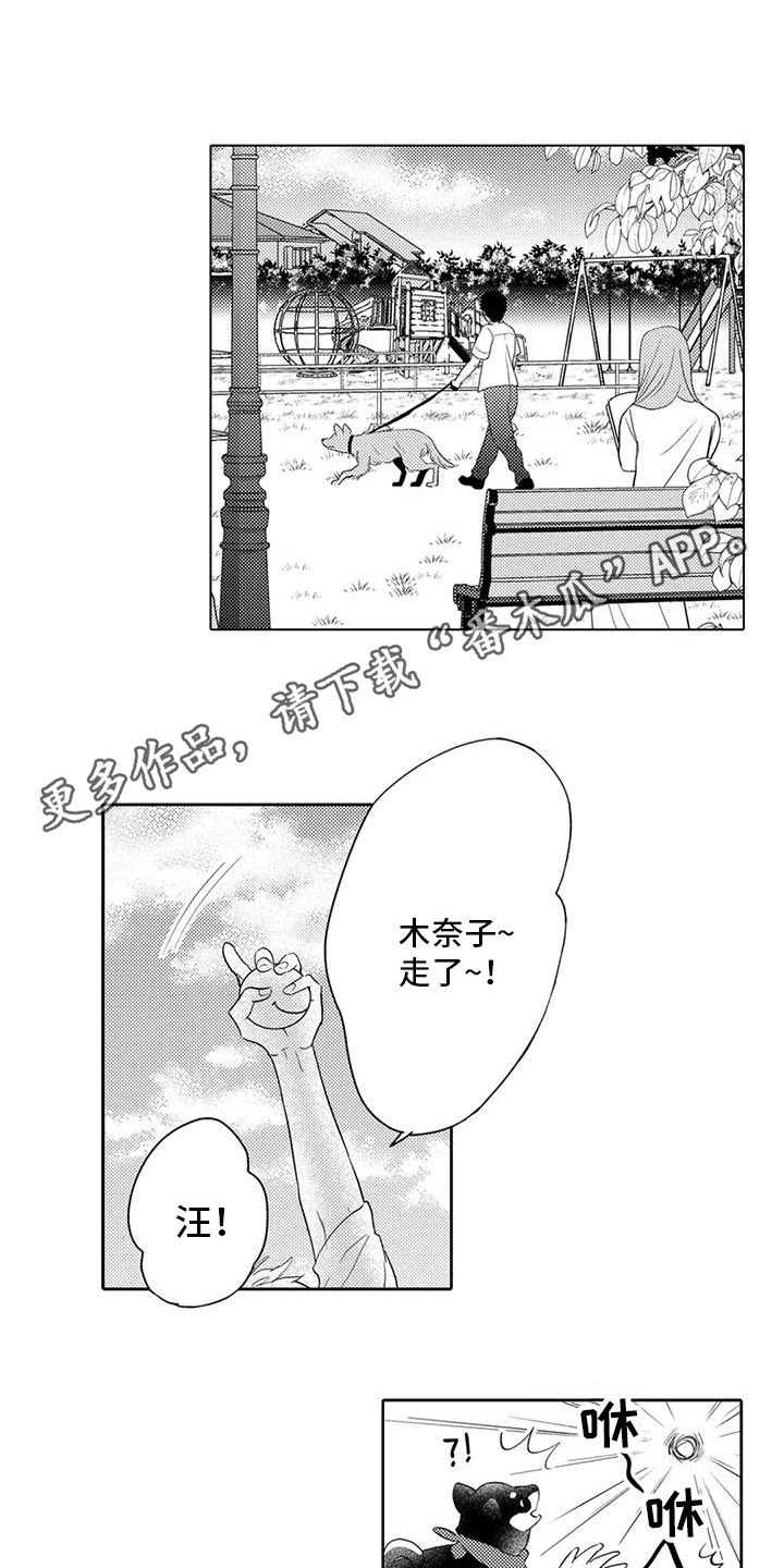 第7章：遛狗7