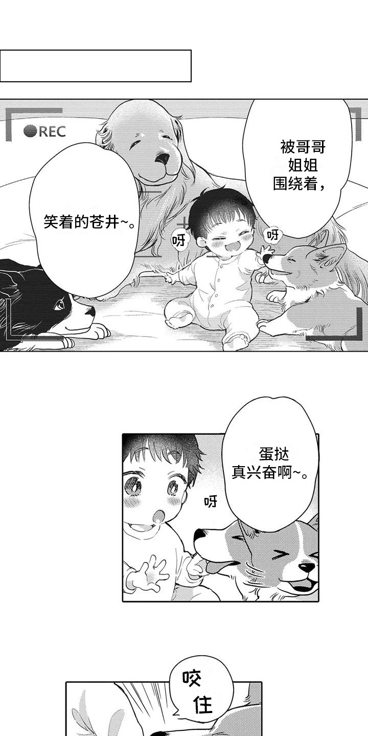 第7章：遛狗2