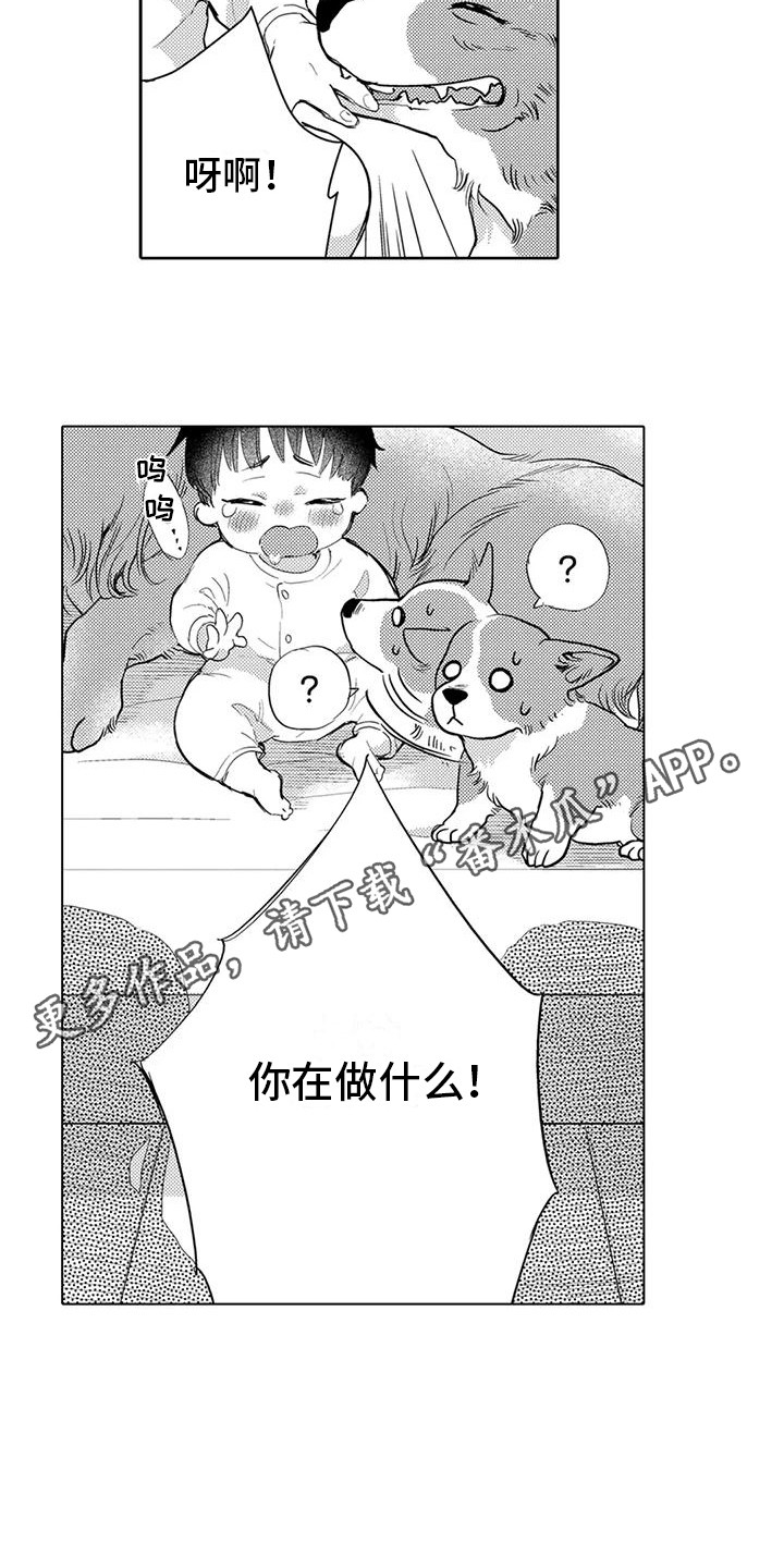 第7章：遛狗3