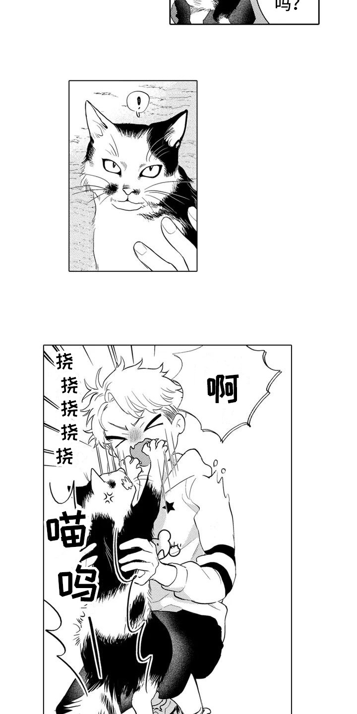 第1章：委托11