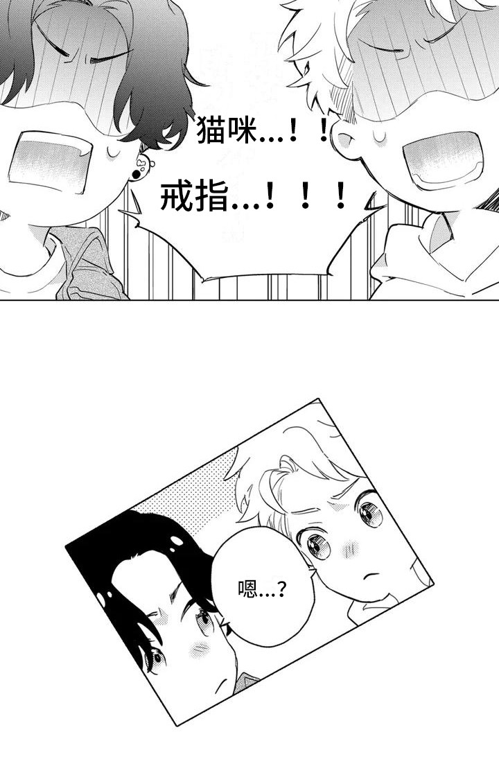 第2章： 寻找猫咪11