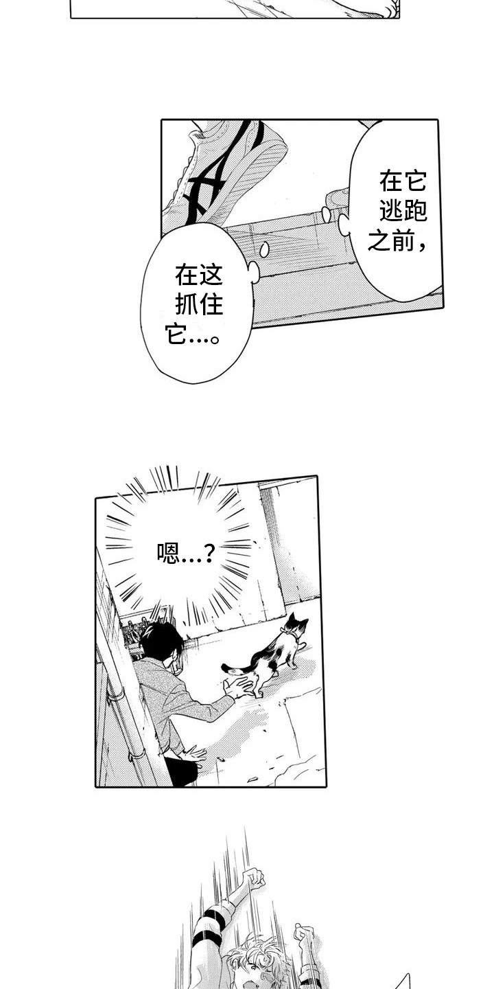 第2章： 寻找猫咪6