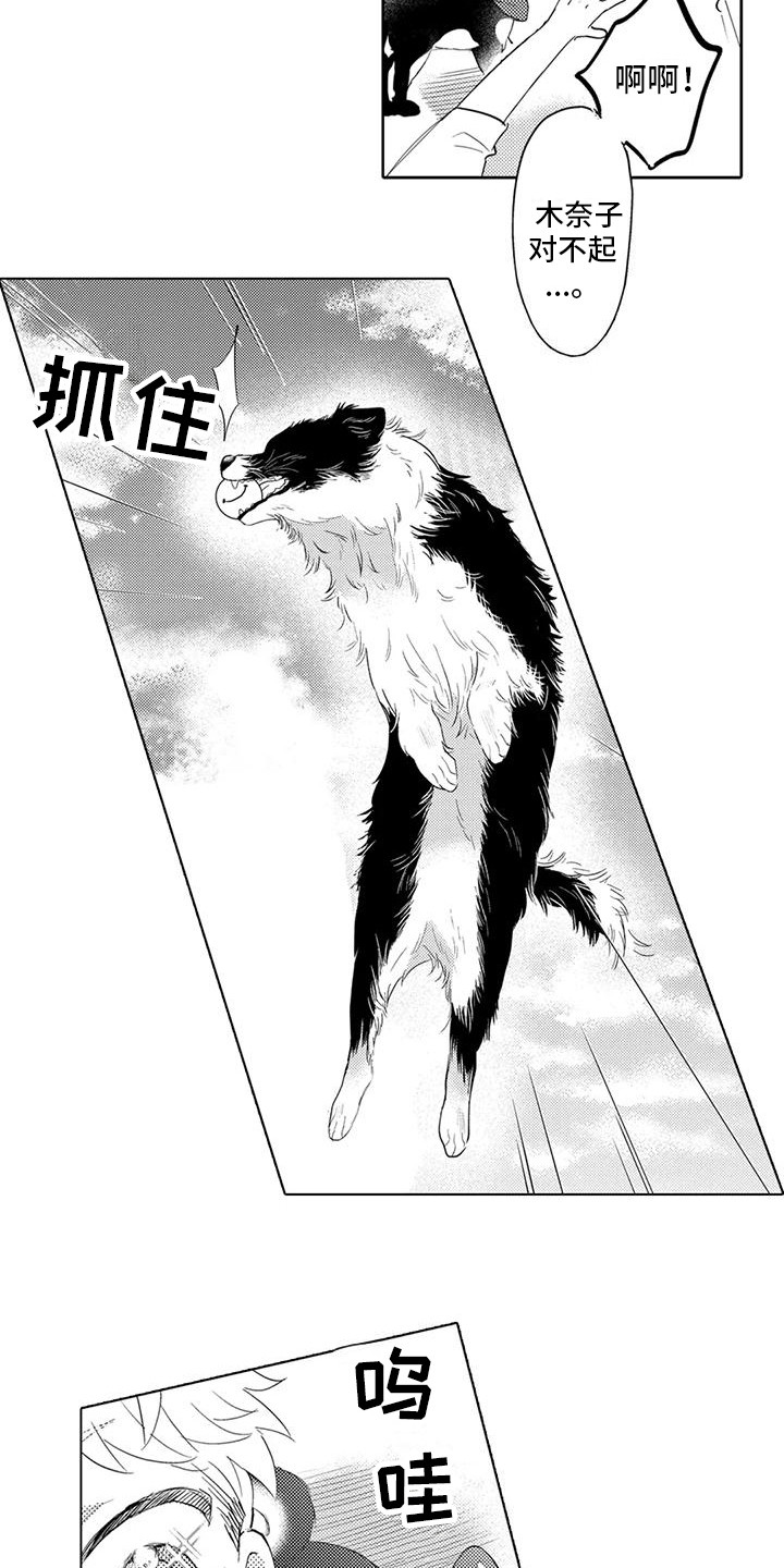 第7章：遛狗8