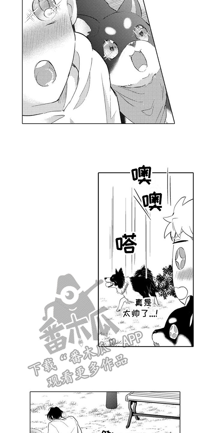 第7章：遛狗9