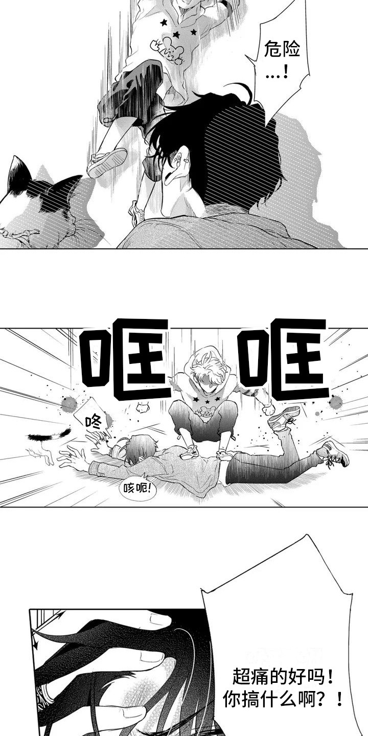 第2章： 寻找猫咪7