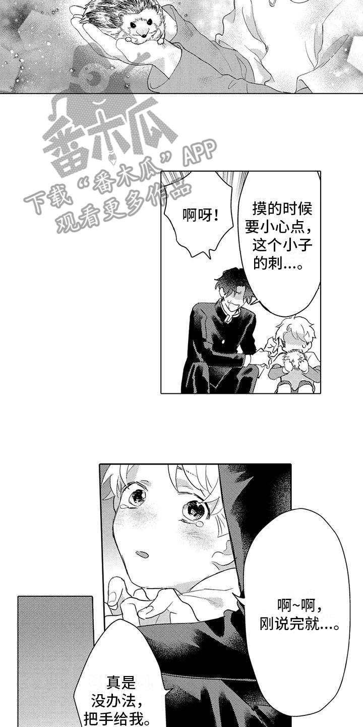 第28章：变化1