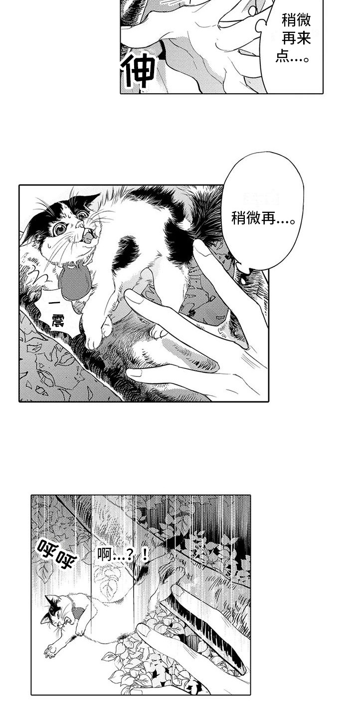 第3章：爬上树12
