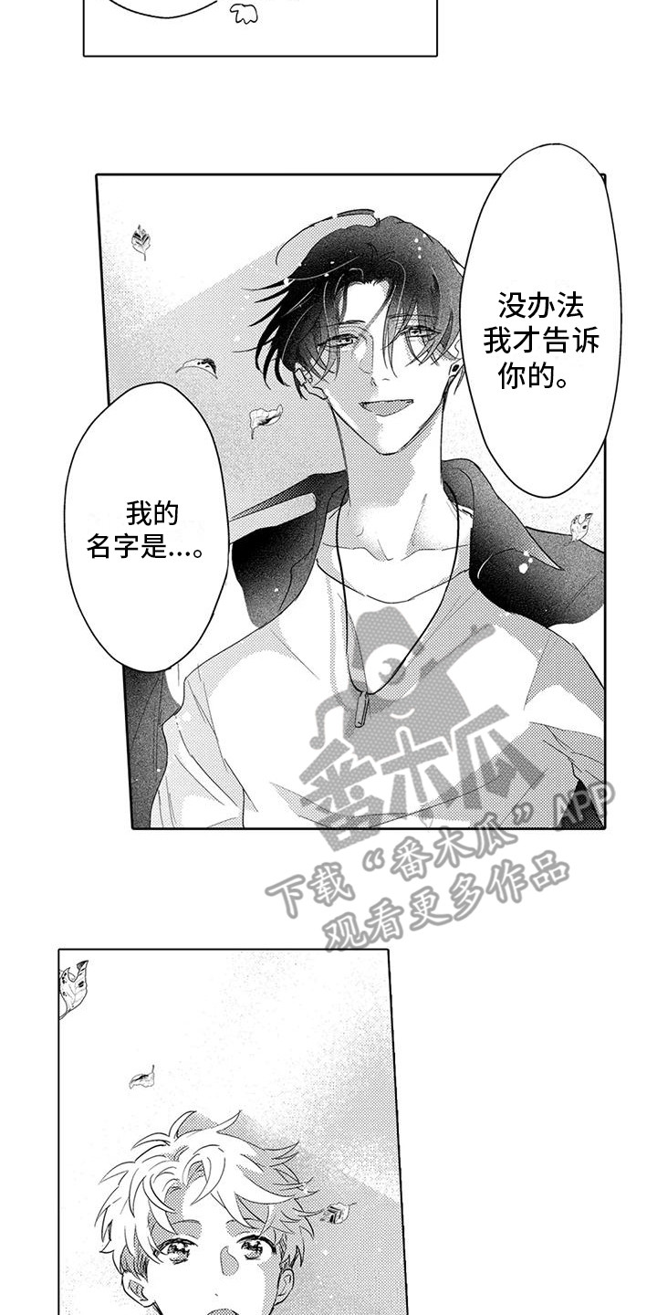 第11章：另眼相待11