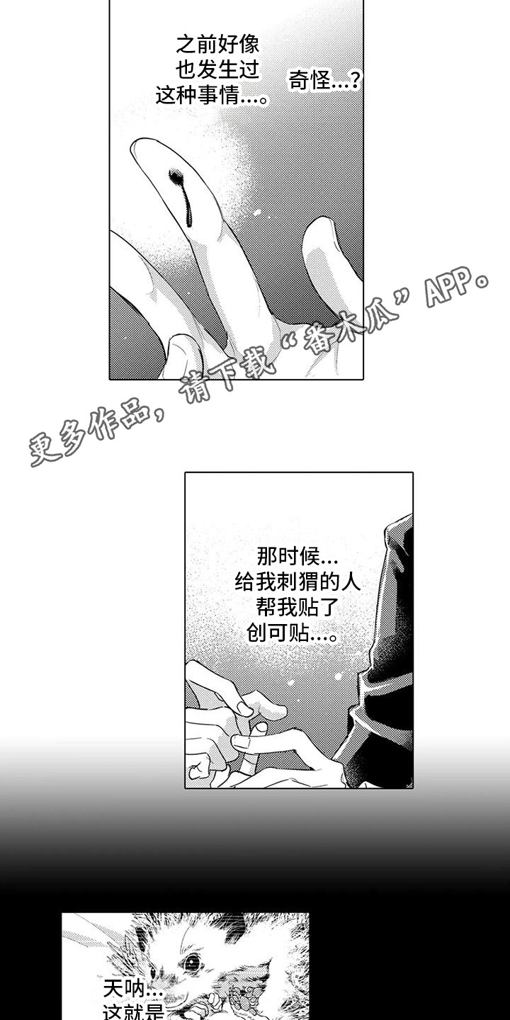第25章：回忆3