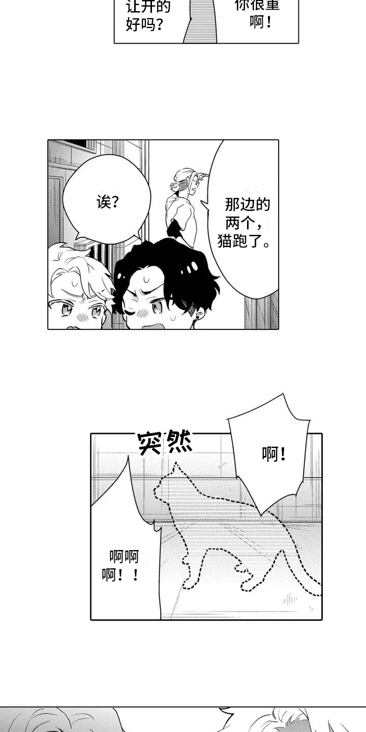 第2章： 寻找猫咪10