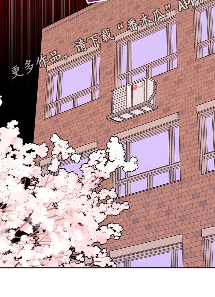 第41章：我的笔记本16