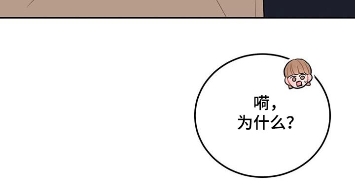 第48章：冒牌货19
