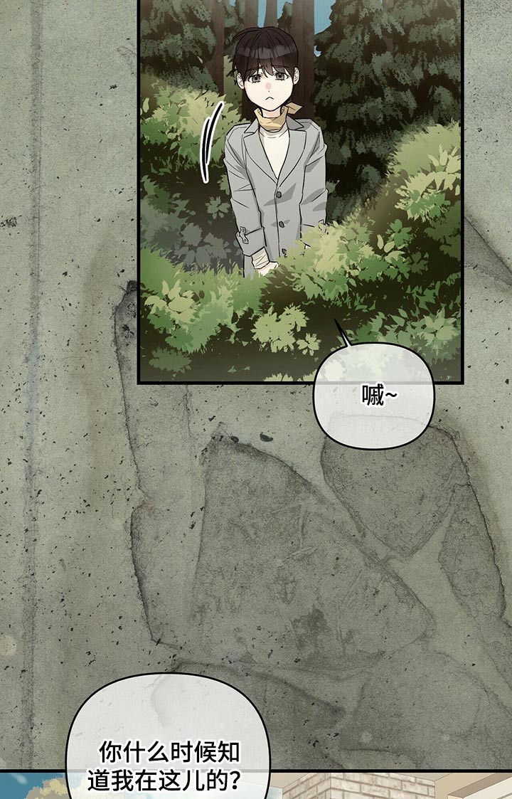 第51章：诺言11