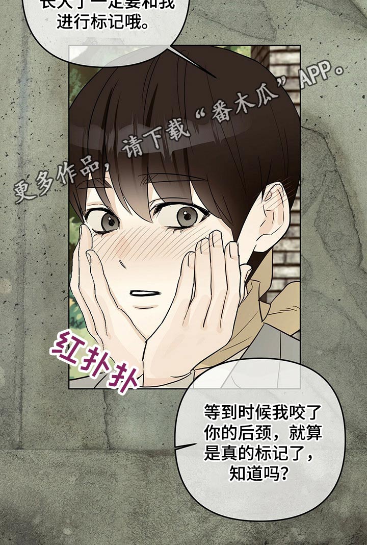 第51章：诺言24