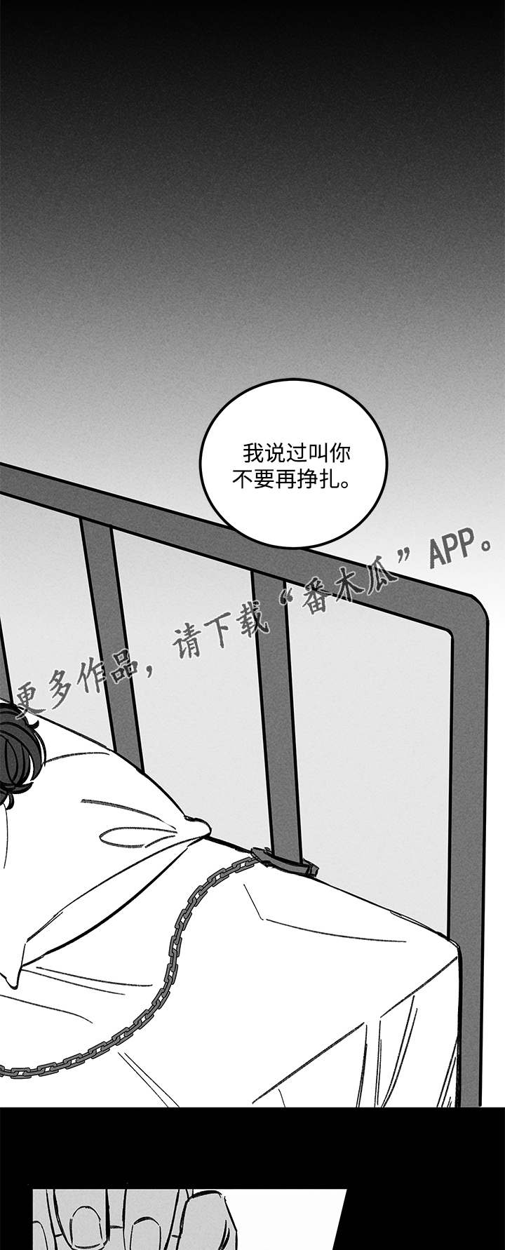 第41章：换一下7