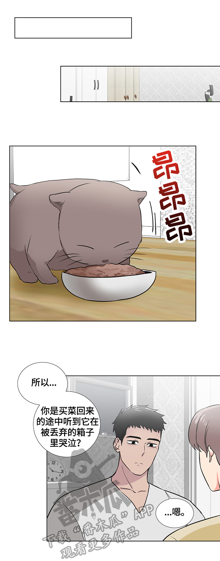 第64章：捡回一只猫6