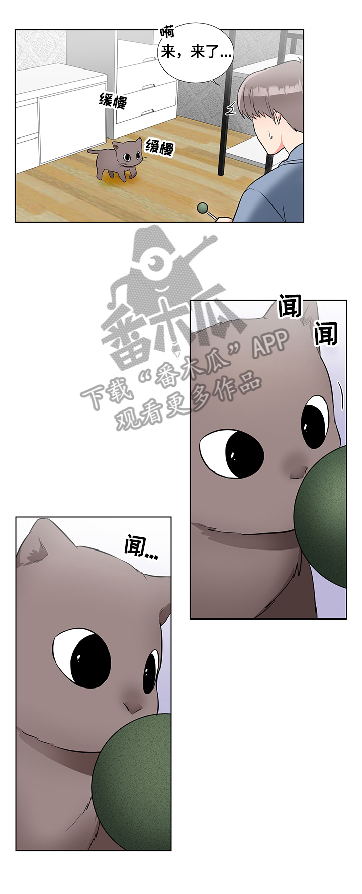 第66章：猫薄荷7