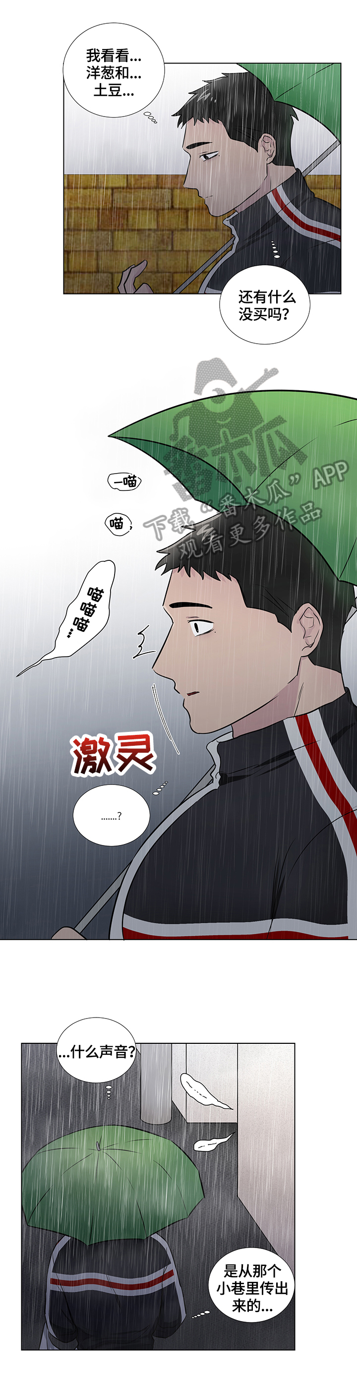 第64章：捡回一只猫1