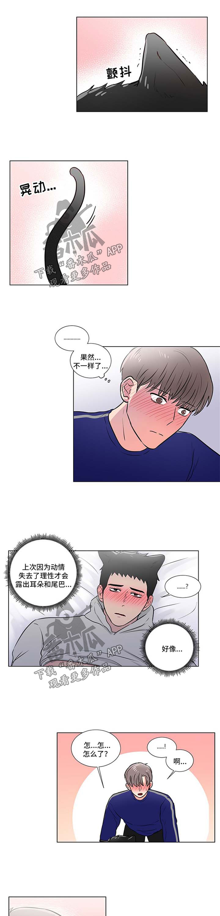 第44章：可爱0