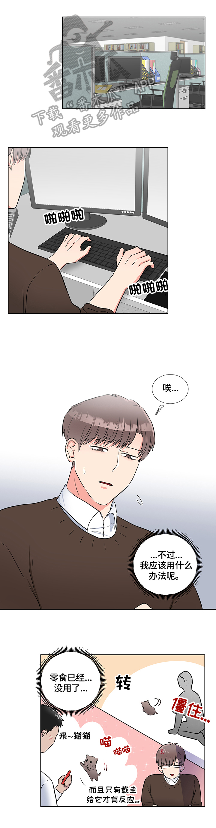第66章：猫薄荷0